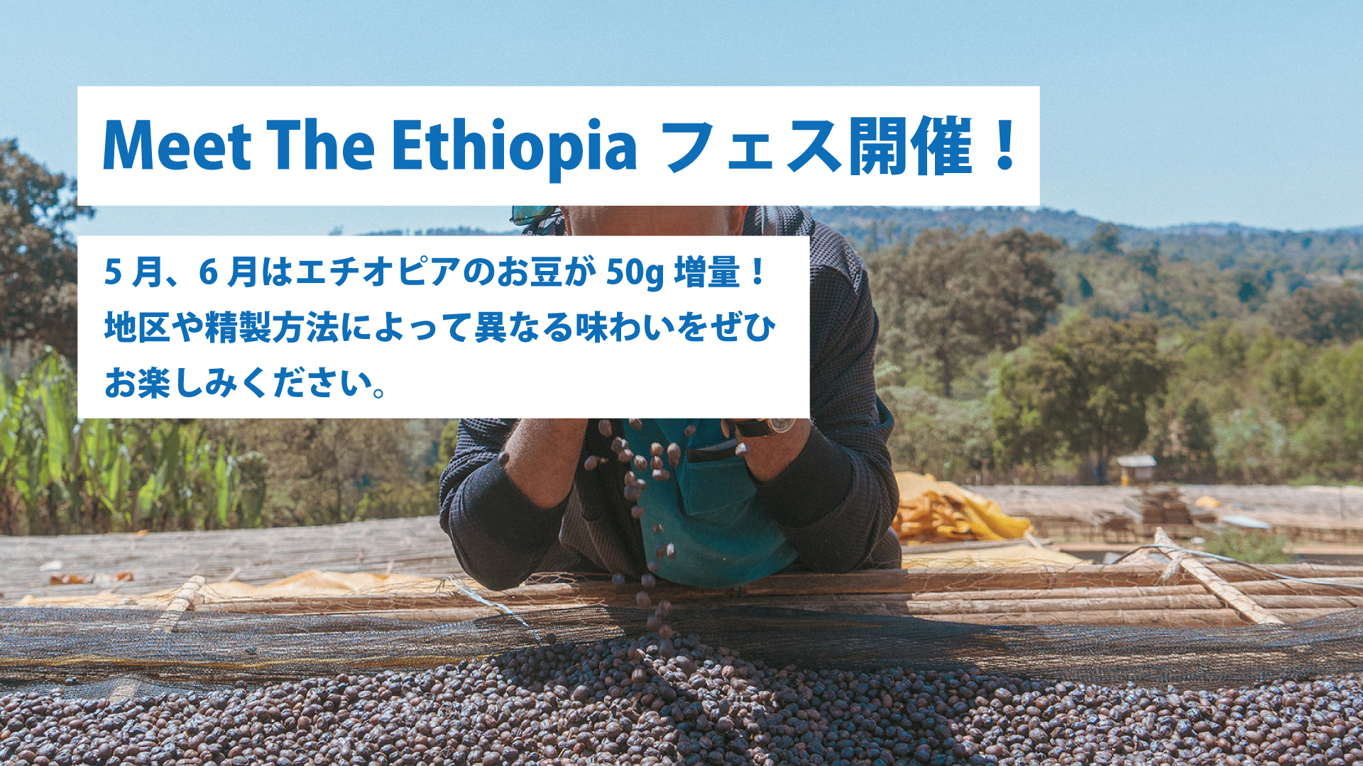 Meet The Ethiopiaフェス