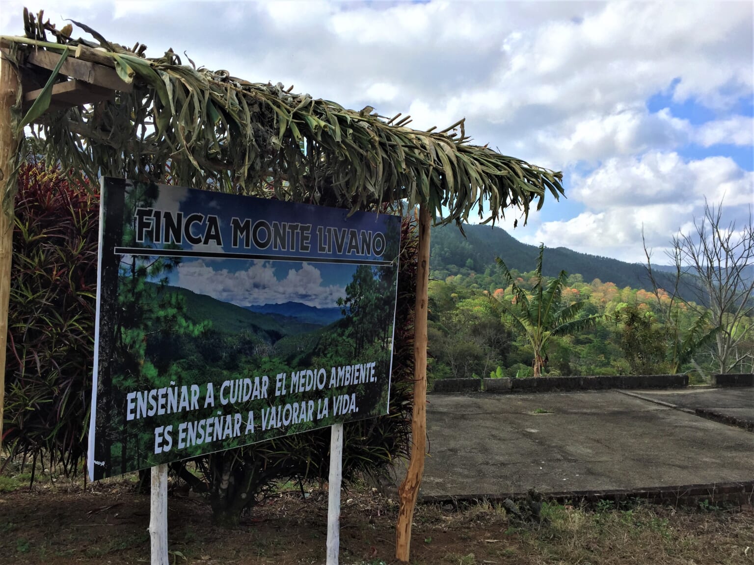 ニカラグア／モンテ・リヴァノ農園　カトゥーラ　アナエロNT