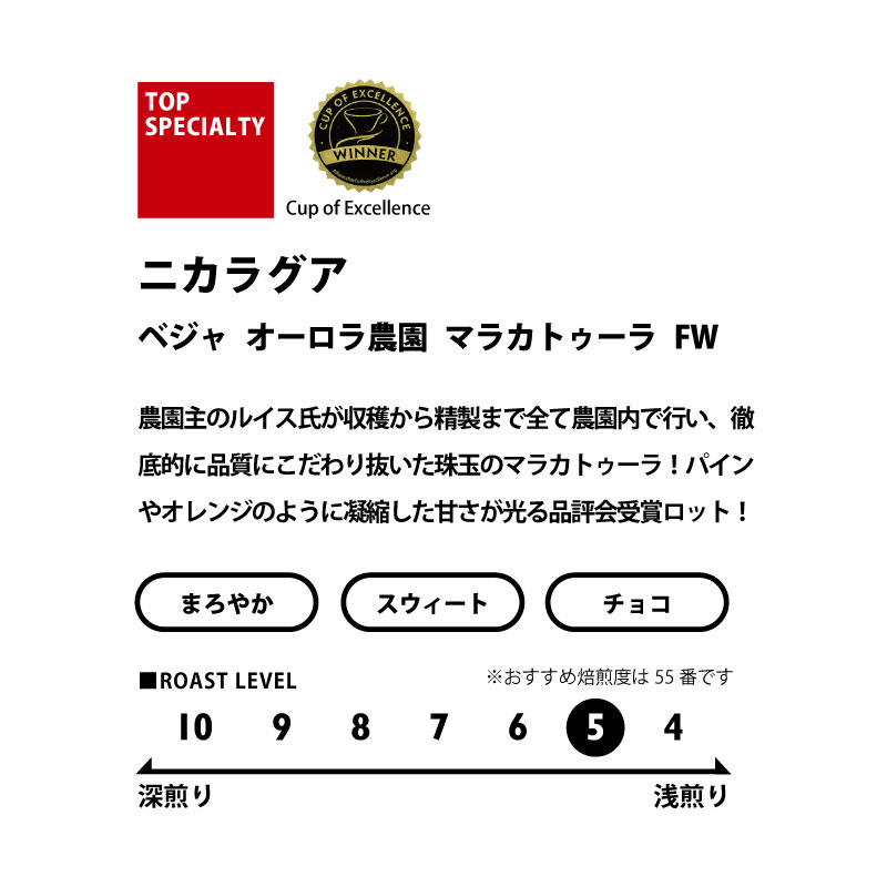 福豆袋2026【品評会受賞豆飲み比べセット100g×3】※数量限定※予約販売(12月22日から順次発送)