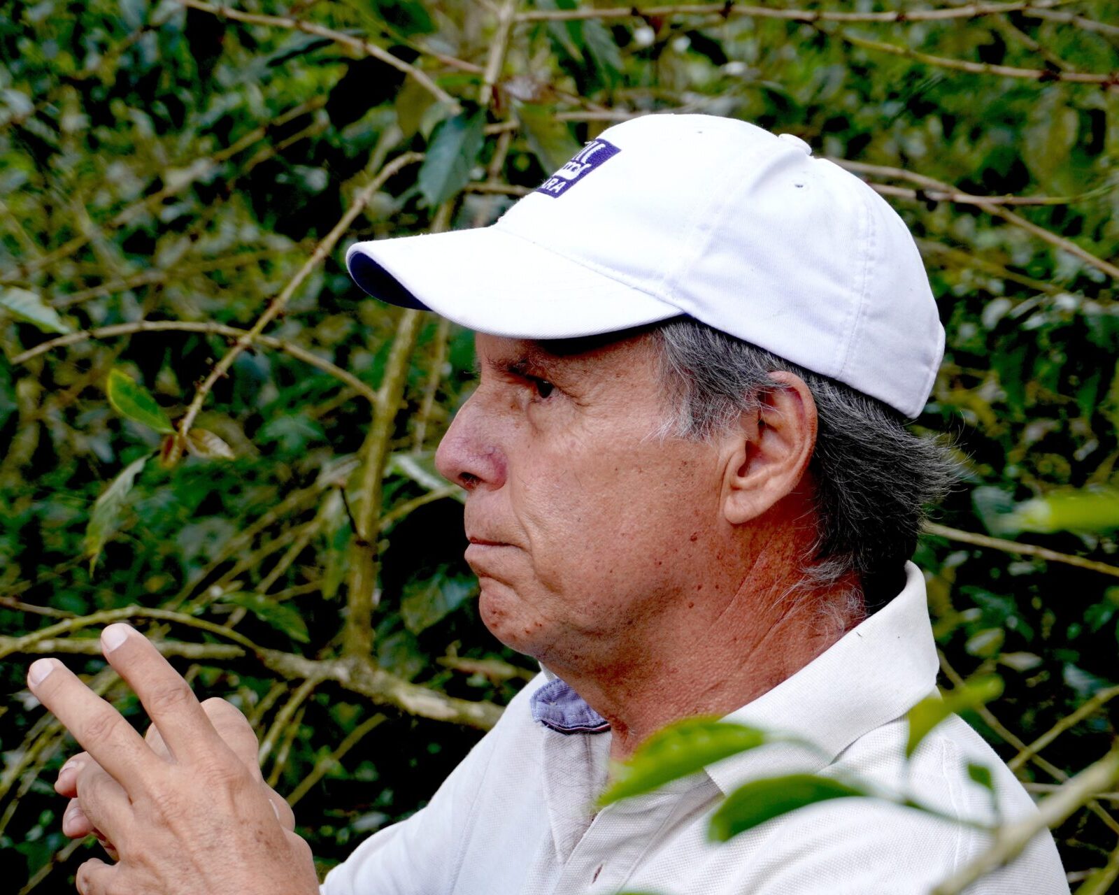 エルサルバドル／ディビナ・プロビデンシア農園　ゲイシャ　FW