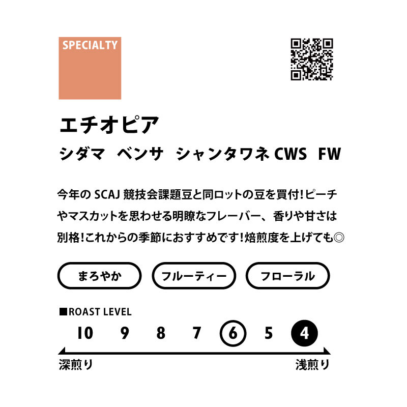 ＜フルーティー＞　シングルオリジン飲み比べセット(浅煎り)　送料無料