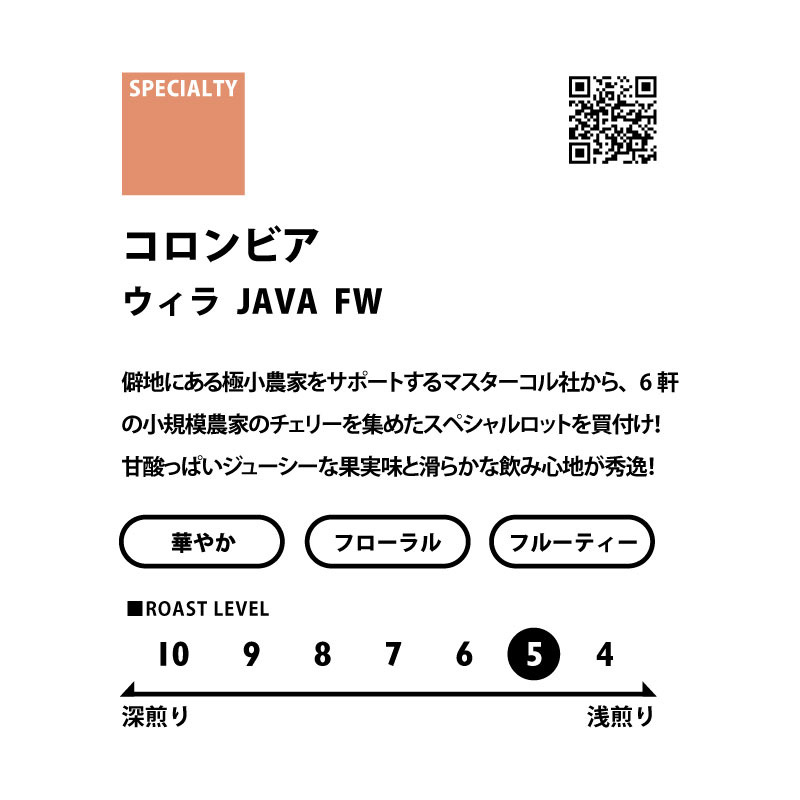 ＜フルーティー＞　シングルオリジン飲み比べセット(浅煎り)　送料無料