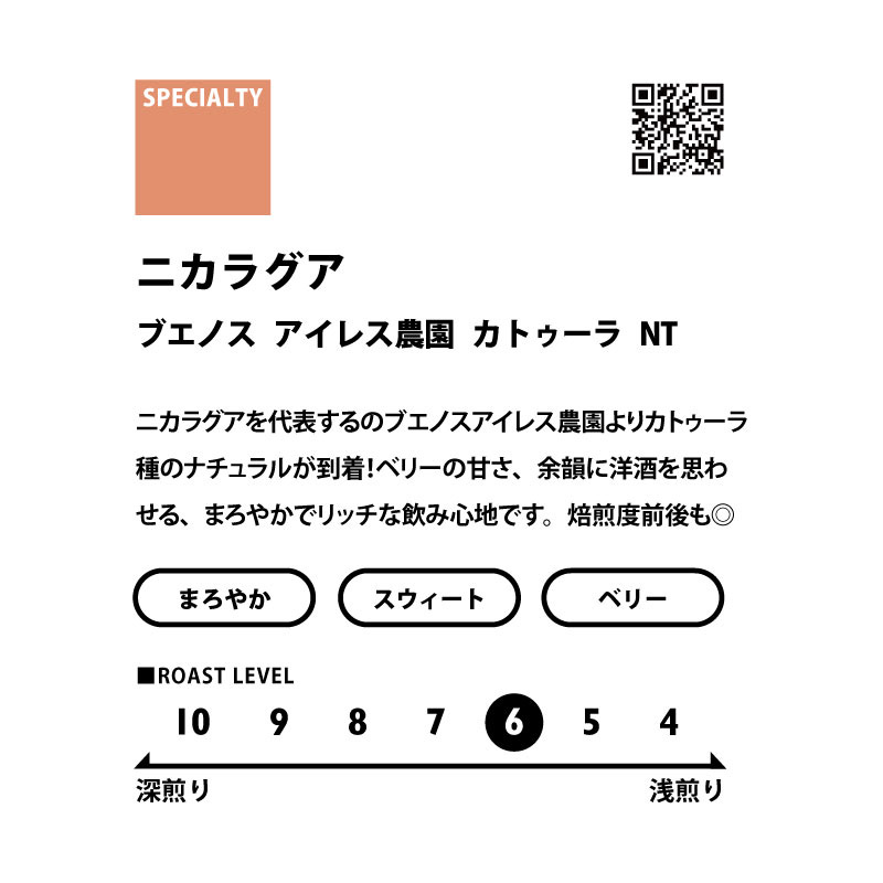 ＜フルーティー＞　シングルオリジン飲み比べセット(浅煎り)　送料無料