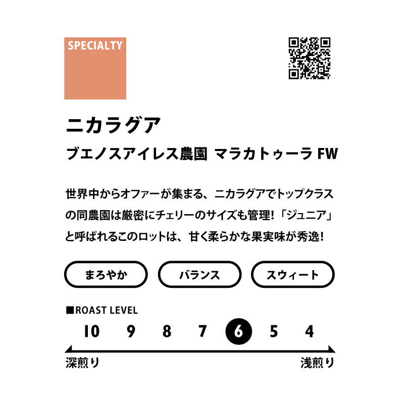 ＜フルーティー＞　シングルオリジン飲み比べセット(浅煎り)　送料無料