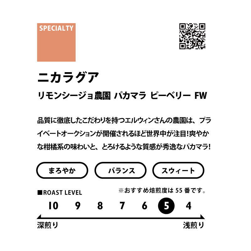 ＜フルーティー＞　シングルオリジン飲み比べセット(浅煎り)　送料無料