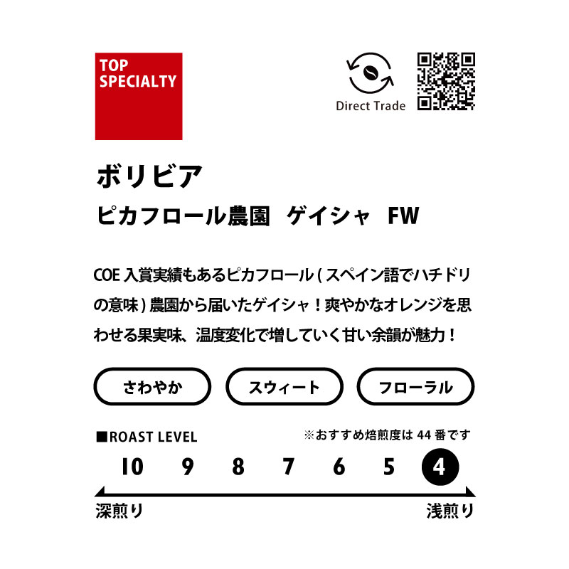 ＜ゲイシャ＞飲み比べセット　送料無料