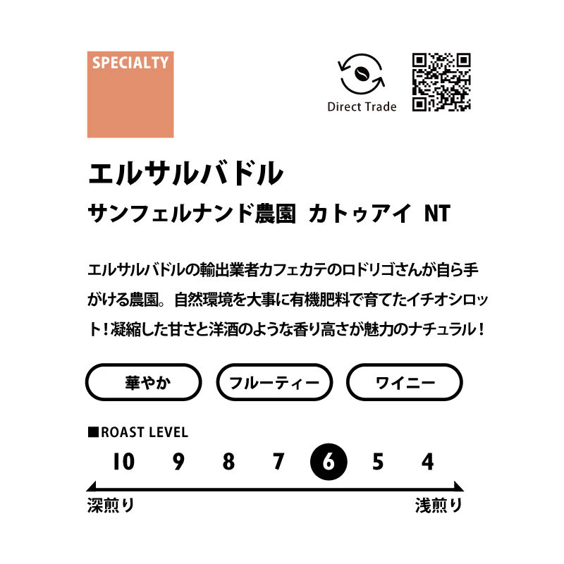 ＜CENTRAL AMERICA＞　中央アメリカ3種飲み比べセット　送料無料