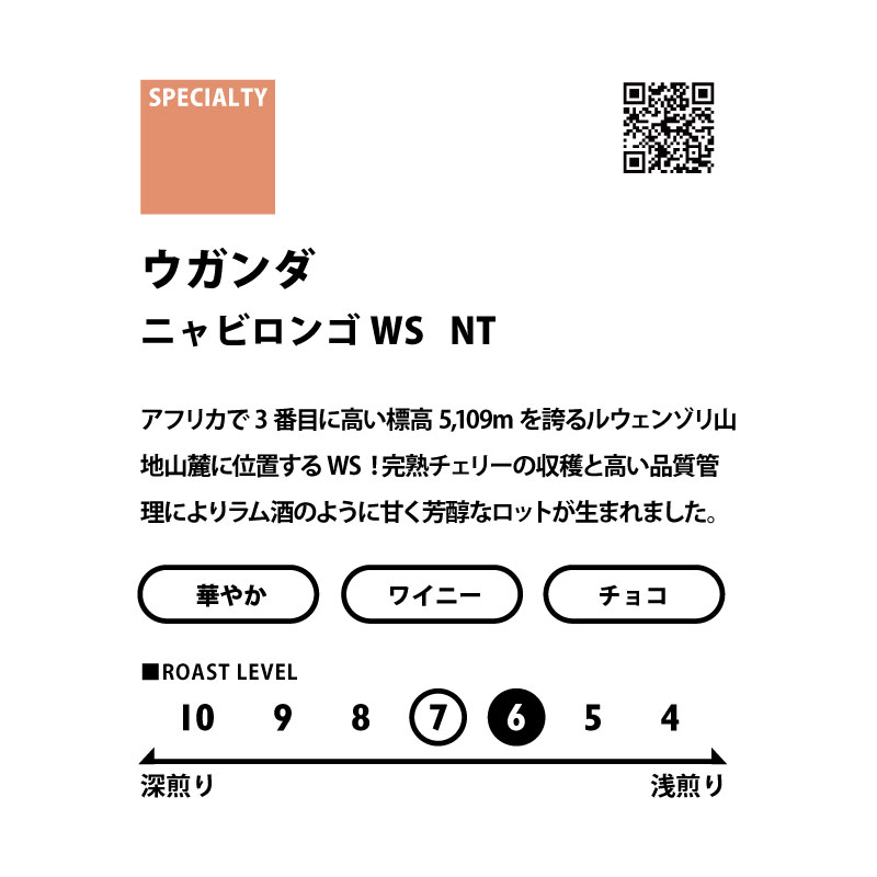 ＜AFRICA＞　アフリカ3種飲み比べセット　送料無料
