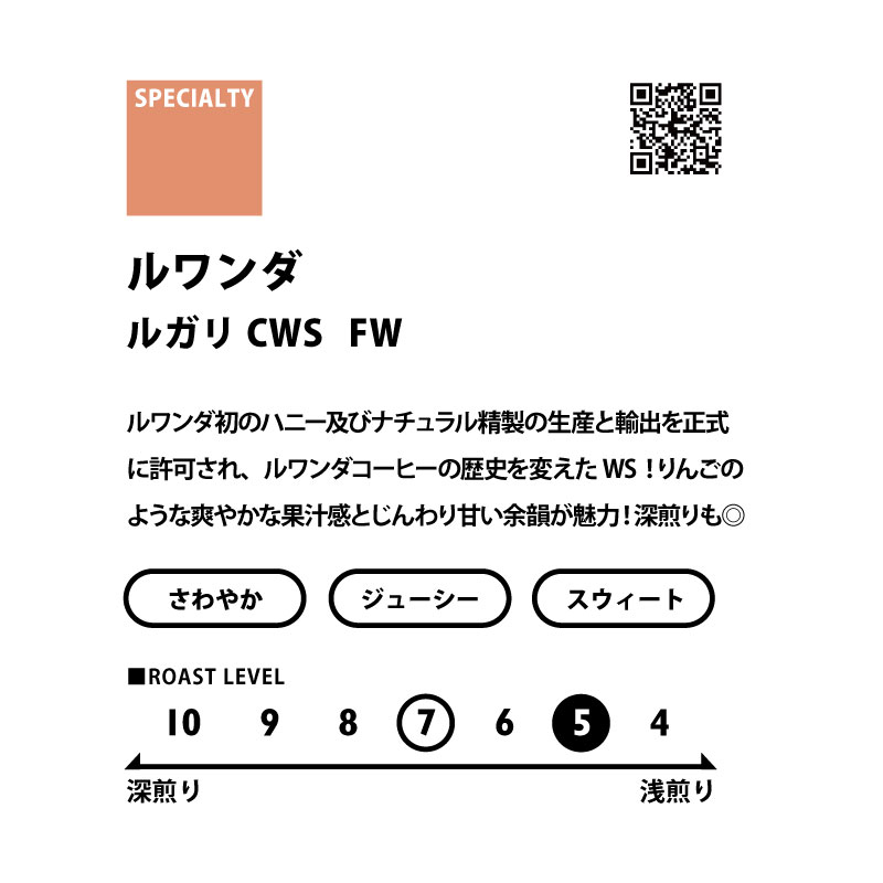 ＜AFRICA＞　アフリカ3種飲み比べセット　送料無料