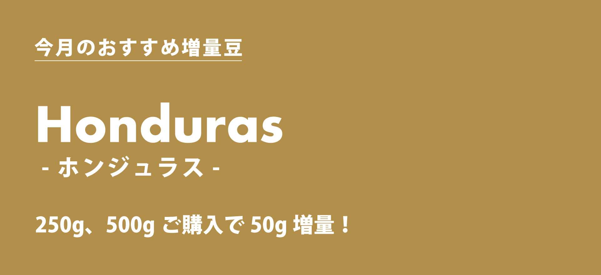 12月のおすすめ50g増量豆