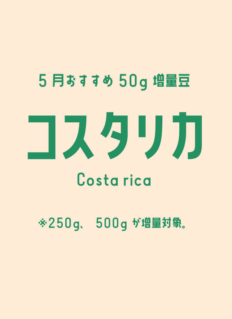コスタリカ増量