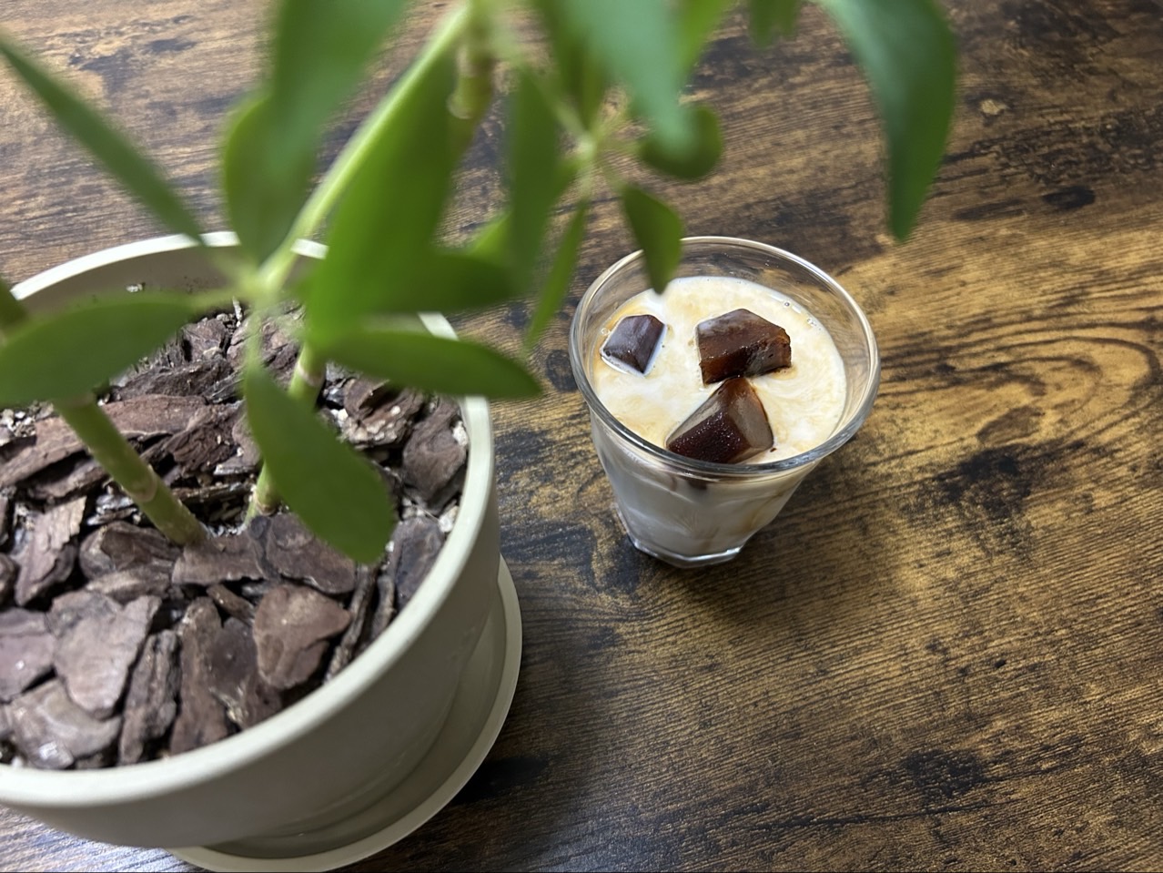 Cold Brew Cube
