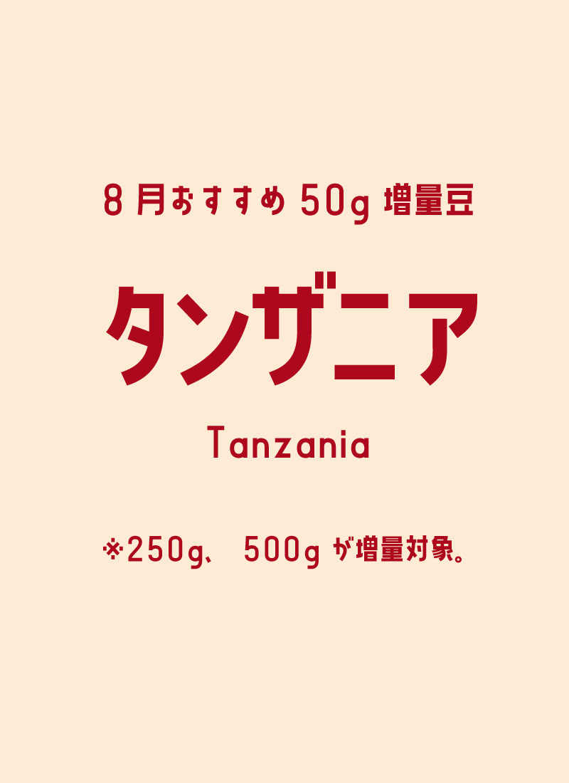 タンザニア8月増量