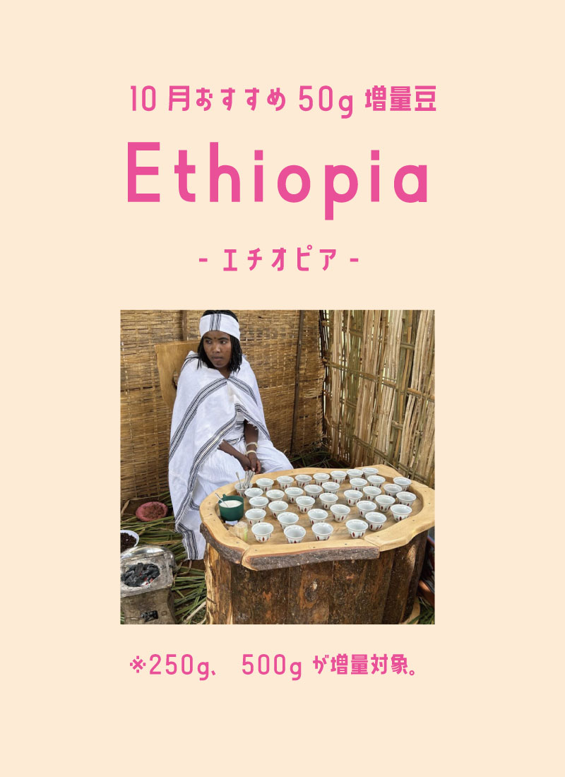 10月増量エチオピア