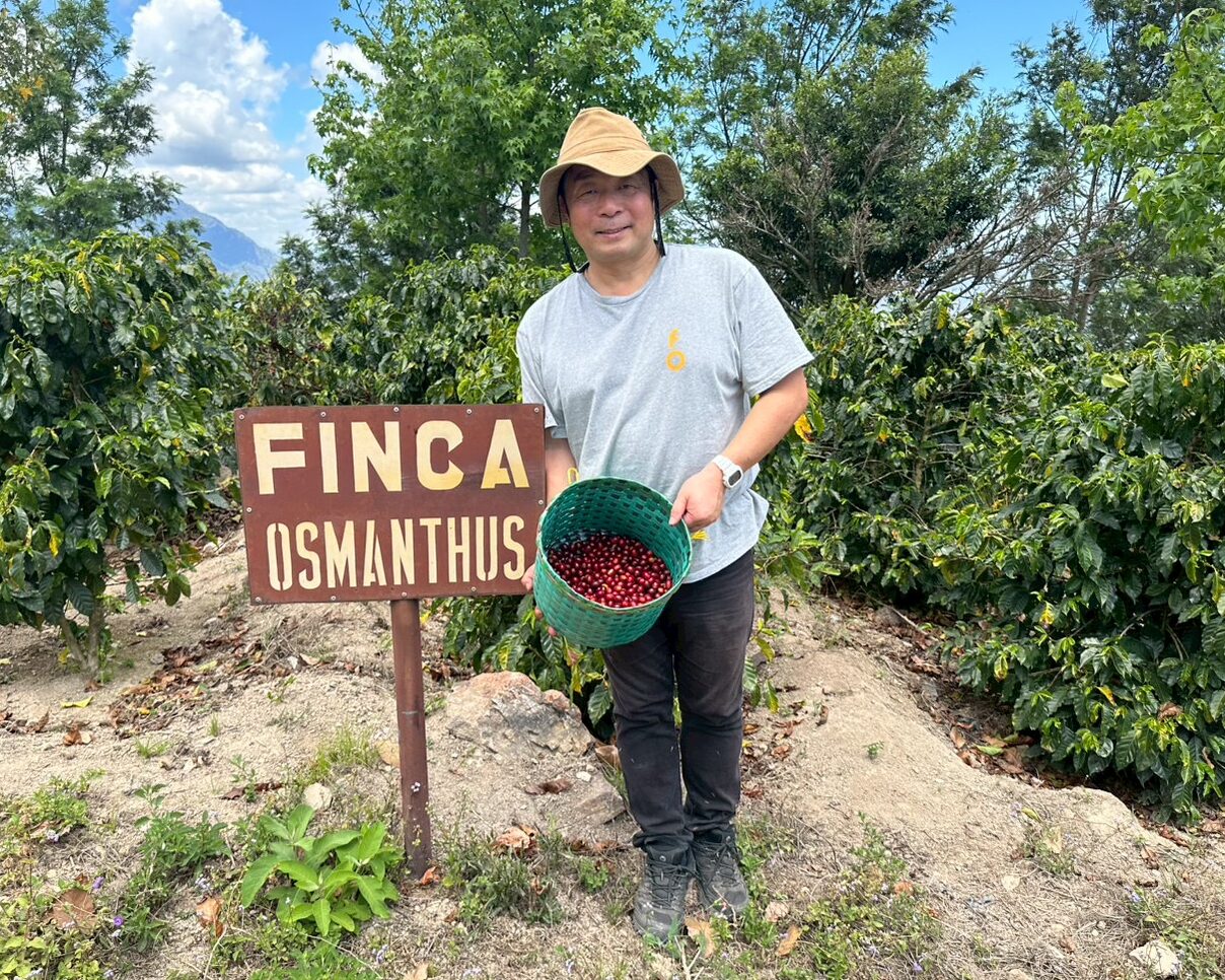 ホンジュラス/オスマンサス農園 パカス FW