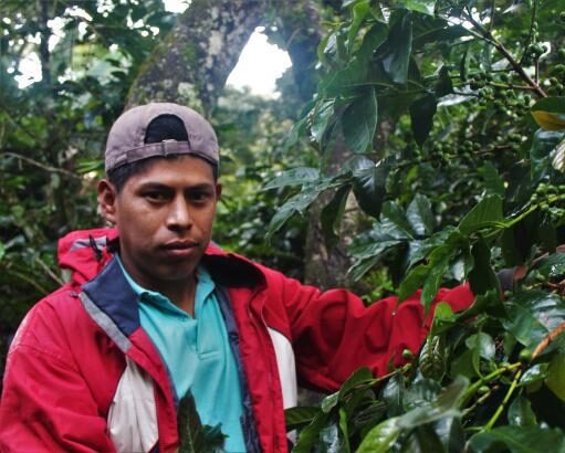 ホンジュラス/ラ・アラダ農園 IH90 アナエロFW