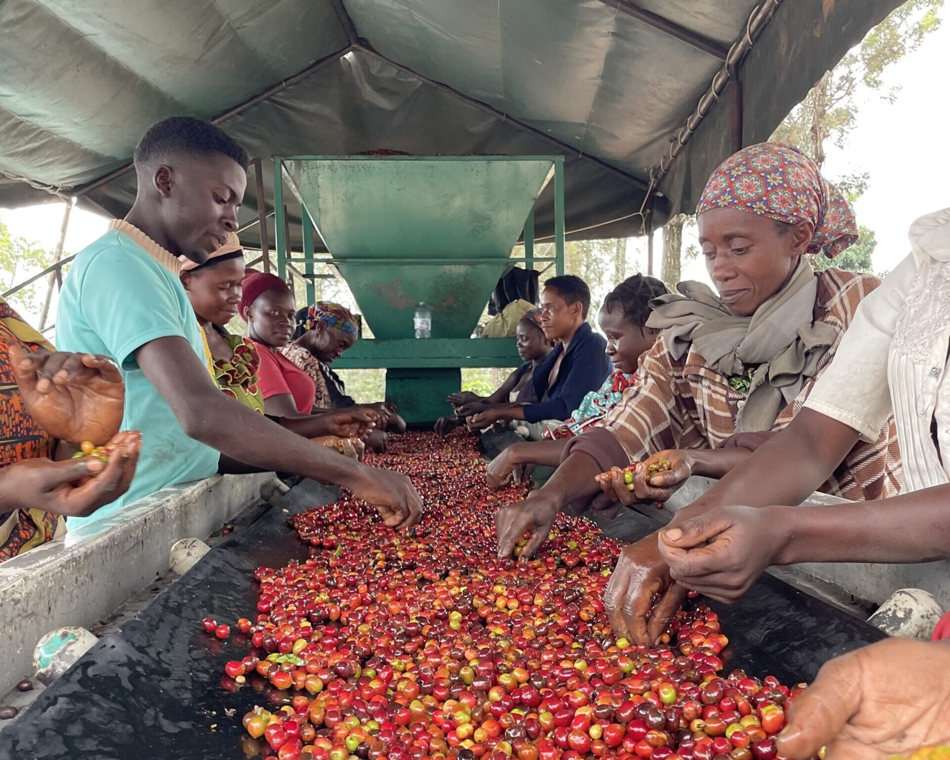 ウガンダ／ニャビロンゴWS　NT