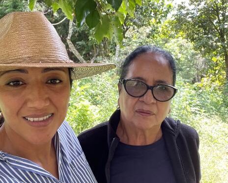 グアテマラ／ラス・コルティナス農園　FW