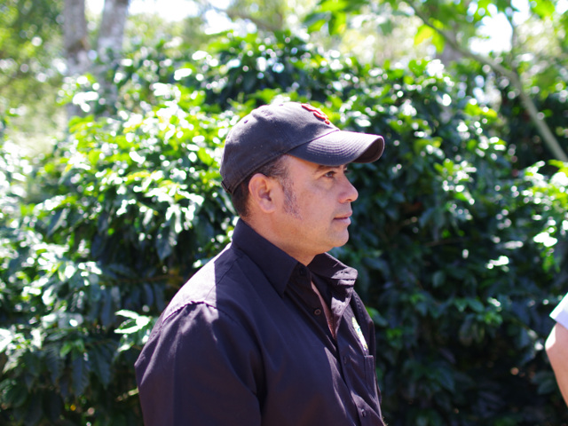 ニカラグア／ブエノス　アイレス農園　カトゥーラ　FW