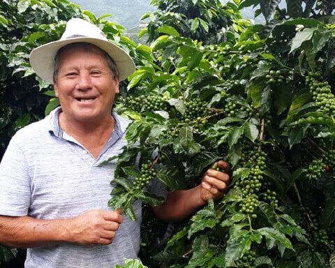 コスタリカ／ドンマヨ　ラ　ロマ農園　RH