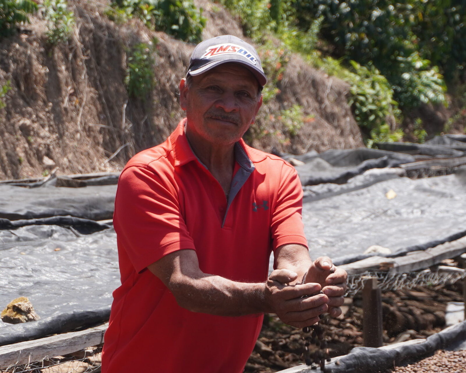 エルサルバドル／ロス・ポシートス農園　ゲイシャ　NT