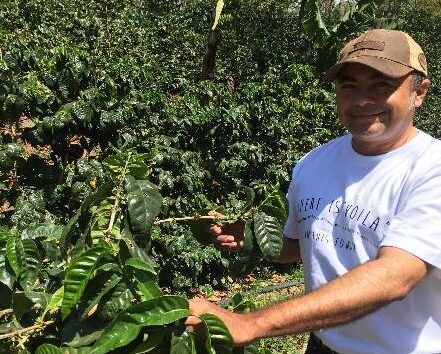 ニカラグア／モンテ・リヴァノ農園　カトゥーラ　FW