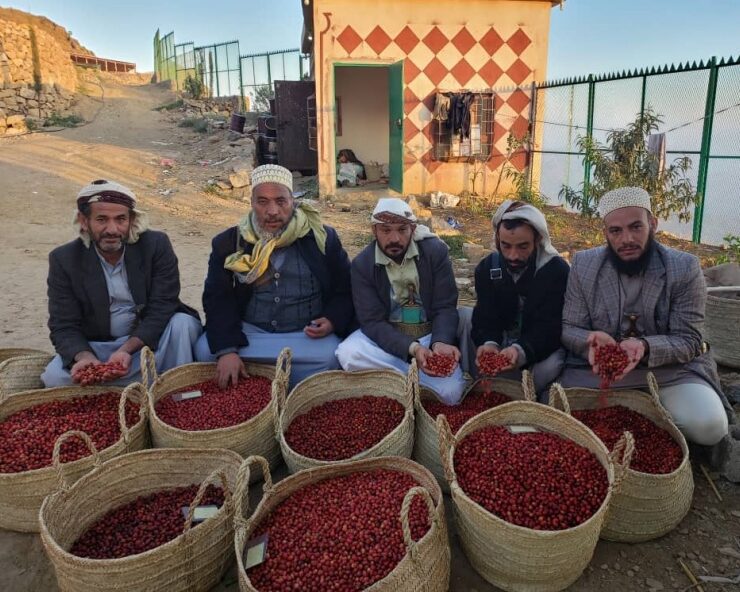 イエメン／モカマタリ　フルーツショコラタ　NT