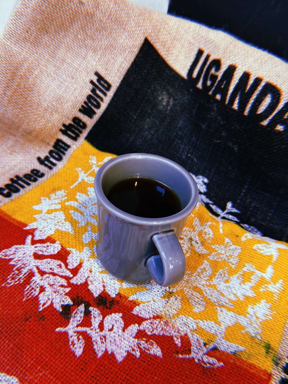 新たな出会い！