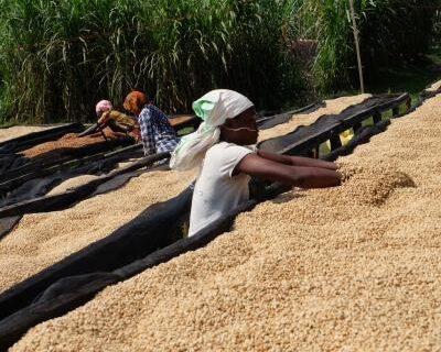 ルワンダ／ルガリCWS　FW