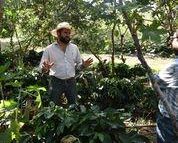 グアテマラ／アグア・ティビア農園　ゲイシャ　FW