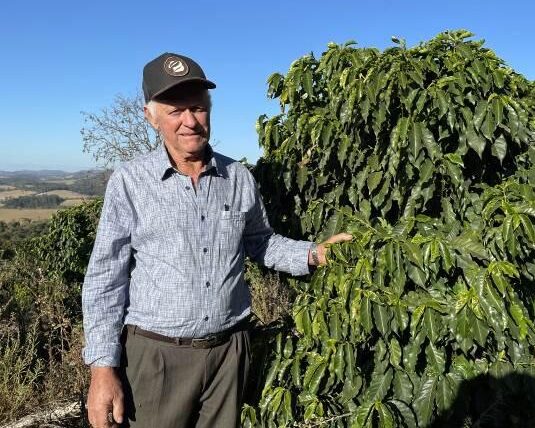 ブラジル／セーハ　イ　レイチ農園　アララ　NT