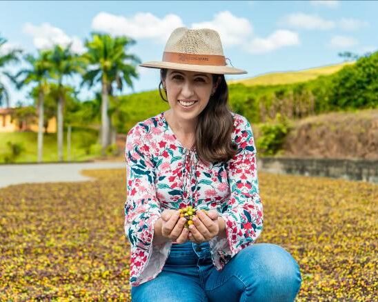 ブラジル／マタオ農園　アララ　NT