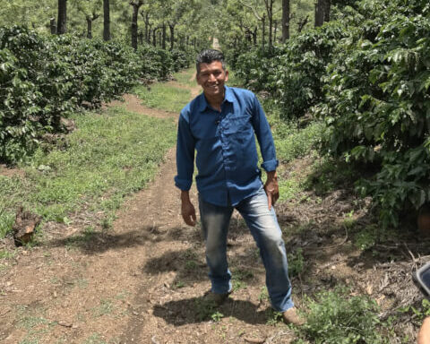 グアテマラ／アンティグア　ラ・フェリシダー農園　FW