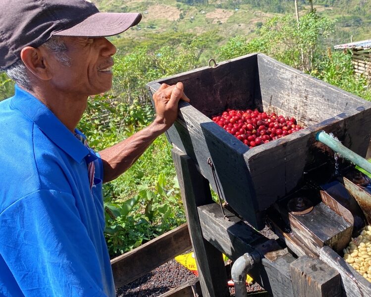 東ティモール／レヌマタ村　FW　マイクロロット