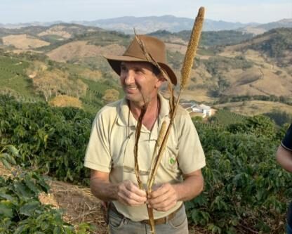 ブラジル／シティオ・バイシャダン農園　Yカトゥアイ　NT