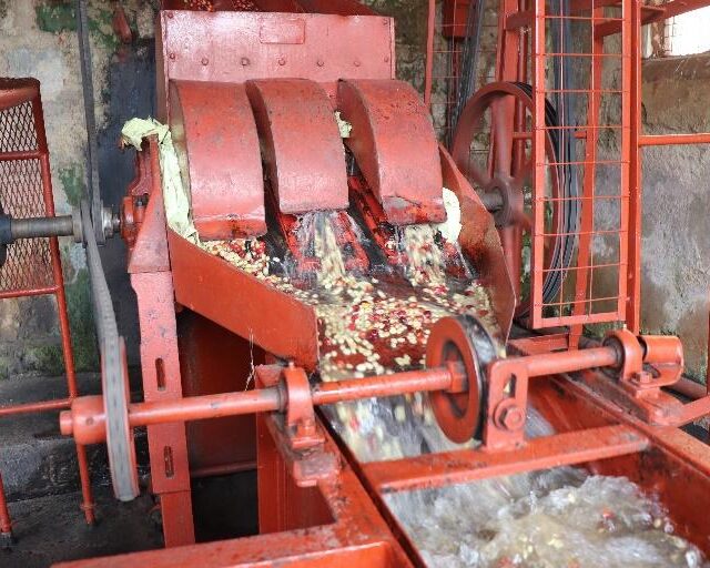 ケニア／ギチャタイニ　コーヒーファクトリー　FW