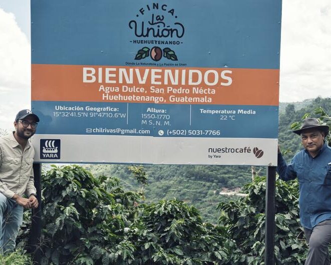 グアテマラ／ラ・ウニオン農園　パカマラ　FW