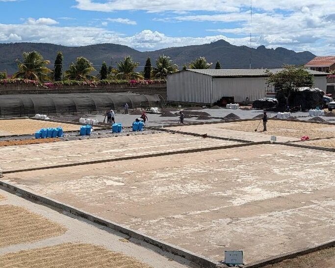 ニカラグア／ロス・ピノス　by　ブエノスアイレス　FW