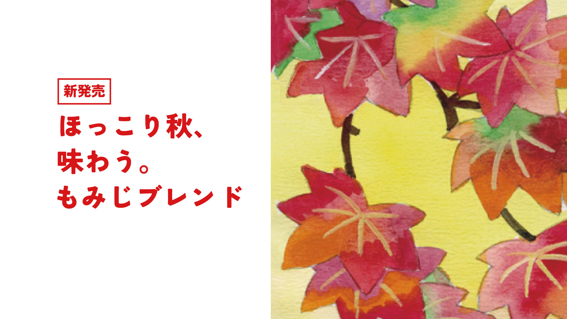 もみじブレンド
